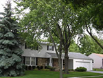 Schaumburg Colonial Home Listing