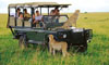 Photo of a Safari