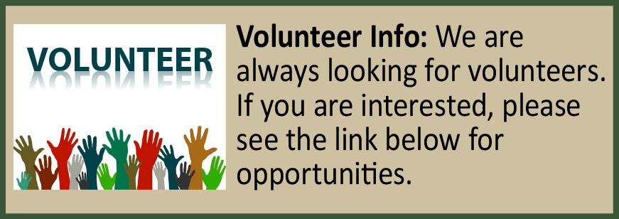 Volunteer Button